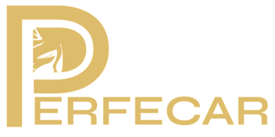 Perfecar Logo