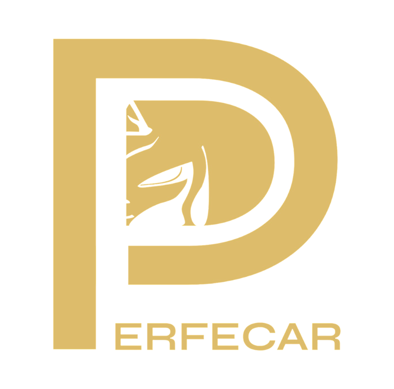 Perfecar Logo